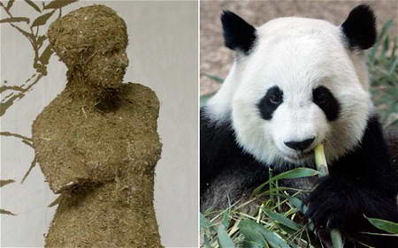 Статуя Венеры Милосской, выполненная из экскрементов гигантской панды в Китае