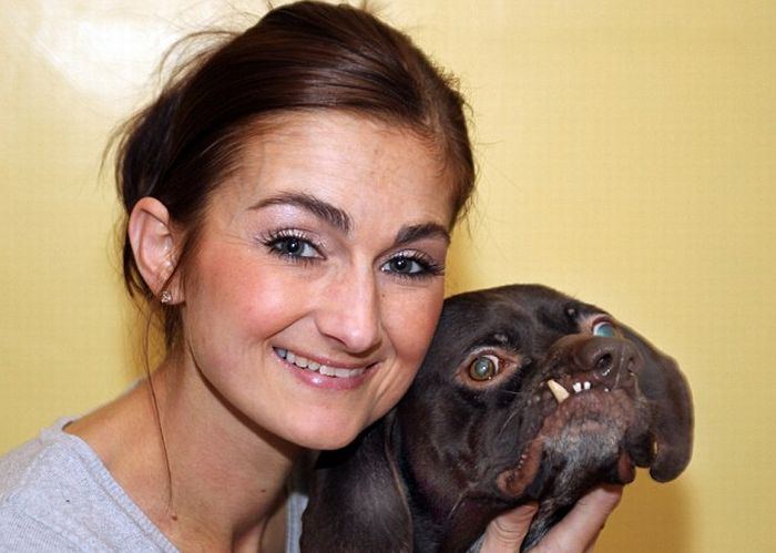 Новая хозяйка от пса без ума - фото Daily Mail