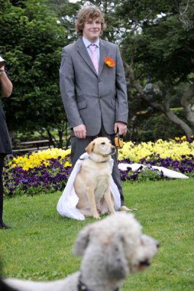 Австралиец женился на своей собаке