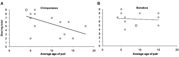 У  шимпанзе (левый график) жадность с возрастом растет, а у бонобо — нет.  Рисунок из обсуждаемой статьи в Current biology