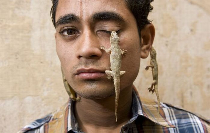 Индийский мальчик и ящерицы