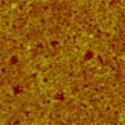 На этой фотографии, полученной при помощи атомно-силового микроскопа, показана поверхность полимера, ставшего прочным клейким материалом (фото Tao Xie, GM Research and Development Center).