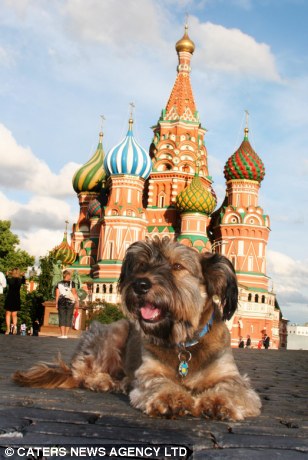 Оскар - собака путешественник