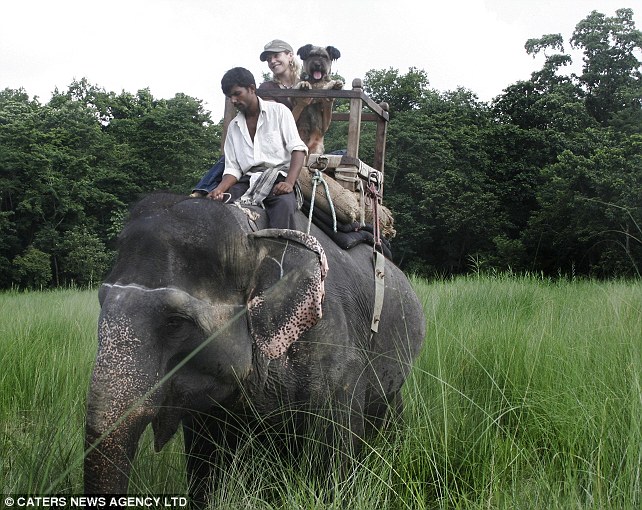 Путешествие по Непалу: Оскар и его хозяйка Джоан Лефсон едут на слоне