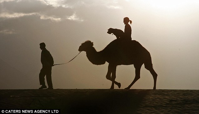 Необычный пес побывал и в Гималаях, катался на верблюде с хозяйкой
