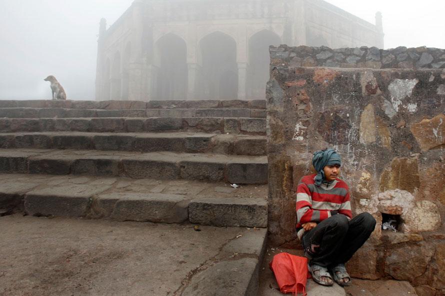 Мужчина и собака сидят на ступеньках к историческому памятнику, окруженному утренним туманом, в Нью-Дели.