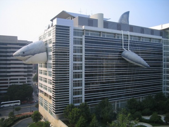 Здание Discovery Channel украсила акула