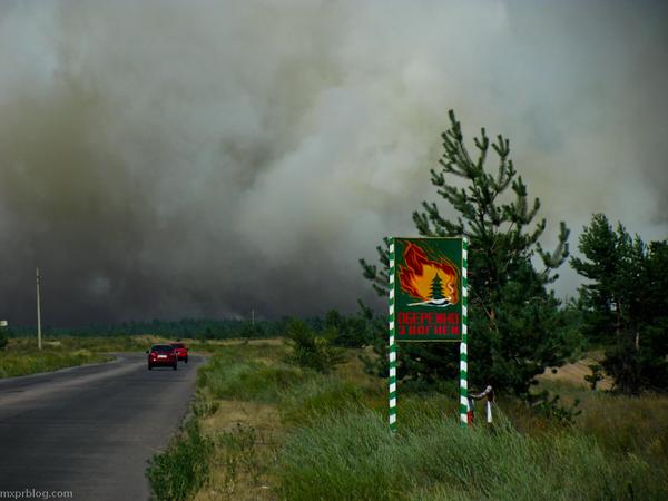 Лесные пожары в Луганской области