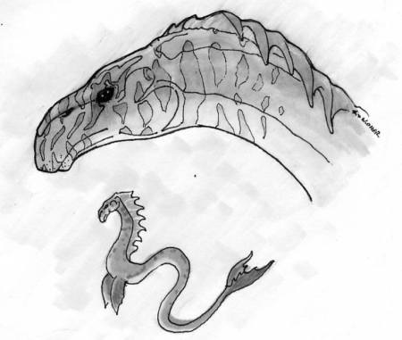 Изображение живого Cadborosaurus willsi