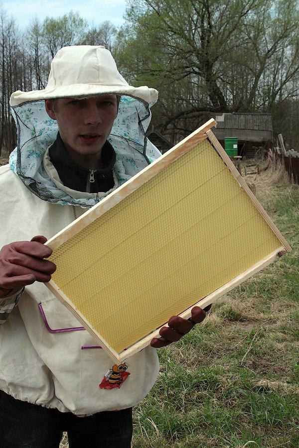 О пасеке, пчёлах и мёде (часть 1)