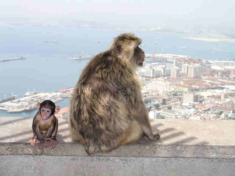 Гибралтар