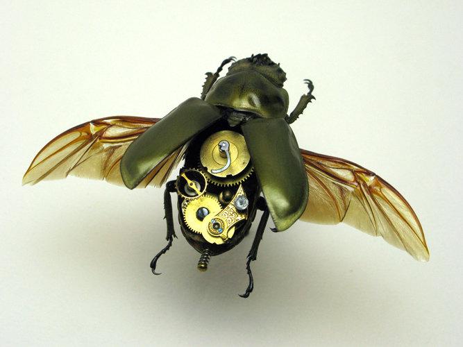 Механические насекомые от Майка Либби