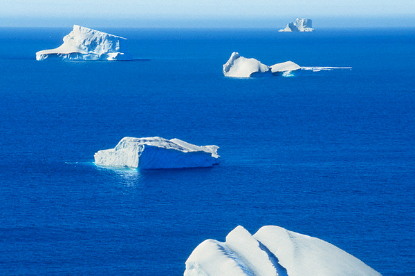 Айсберги в архипелаге Южная Георгия (фото Frans Lanting / Corbis).