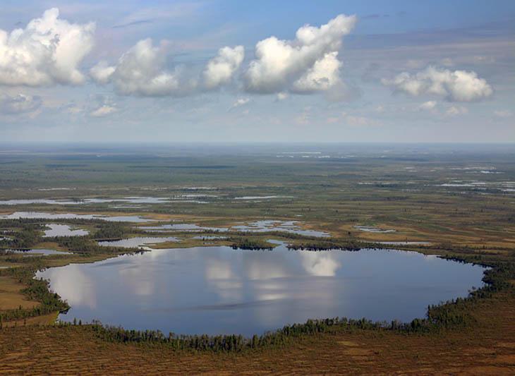 Большое Васюганское болото. 