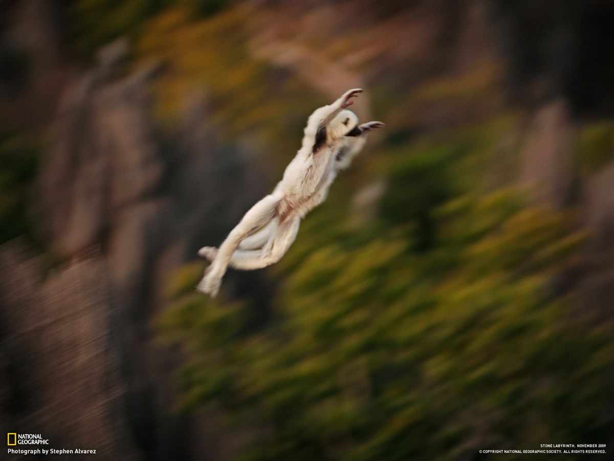 Природа и животные в красивой серии фотографий от National Geographics.