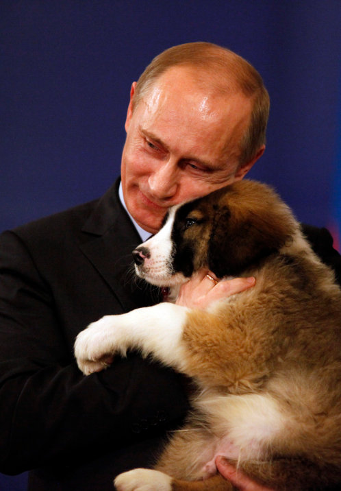 Какой Породы Собака У Путина Фото