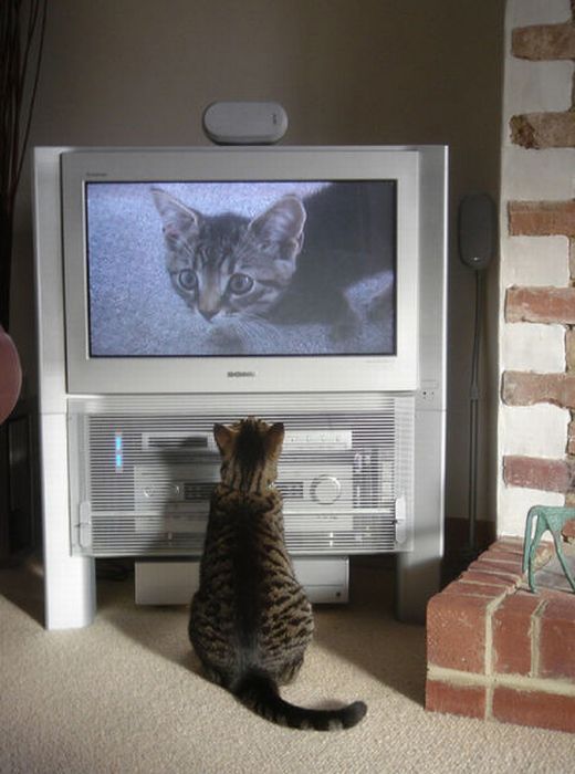Давай посмотрим телевизор