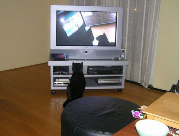 Давай посмотрим телевизор