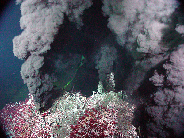 «Чёрный курильщик» — типичная среда обитания T. onnurineus (фото Visions ’05 Expedition / Neptune Project / U. of Washington / NSF).