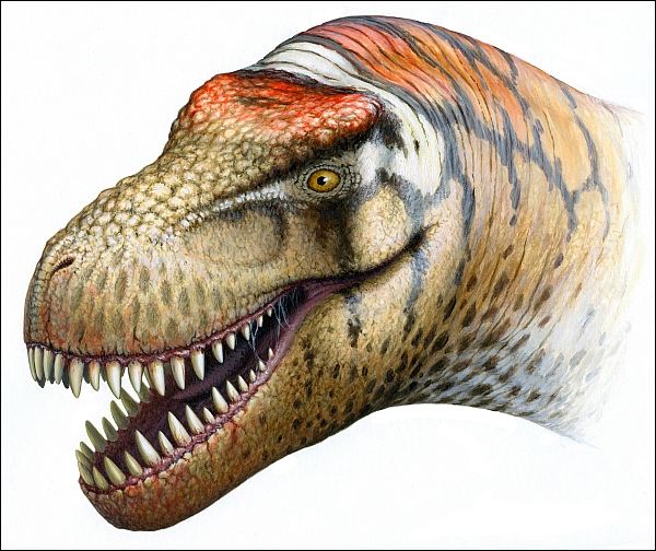 Zhuchengtyrannus magnus мало чем уступал тираннозаврам.