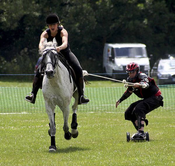 Конный бордиг (horse-boarding): новый экстремальный вид спорта