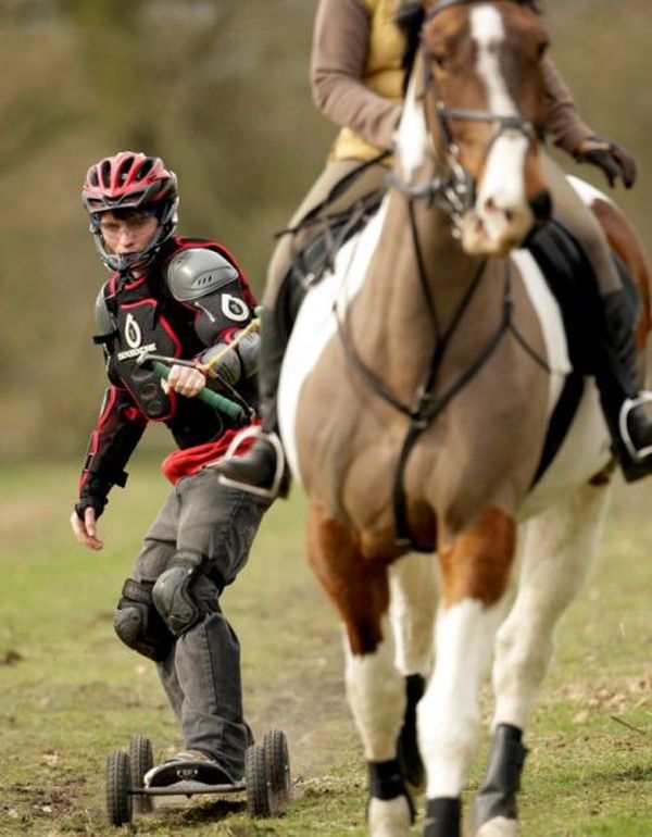 Конный бордиг (horse boarding): новый экстремальный вид спорта. animalworld...