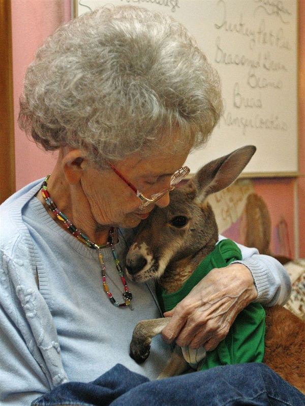 Жительницу Оклахомы решили лишить парализованного кенгуру
