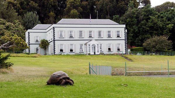 178-летняя черепаха по кличке Джонатан - самая старая в мире