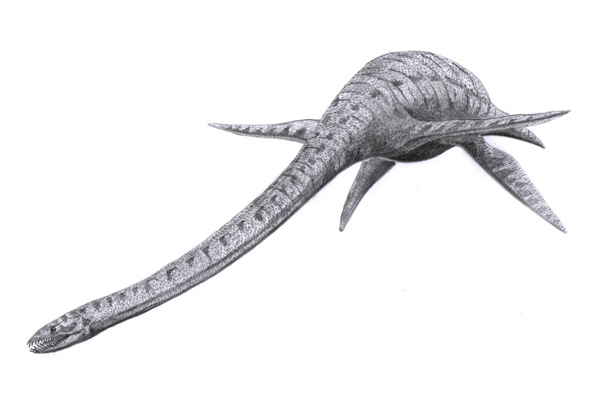 Эласмозавр