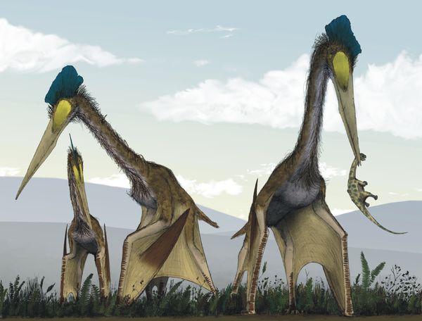 Птерозавр Quetzalcoatius northropi