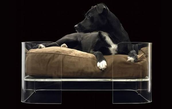 Мебель для модных собак
