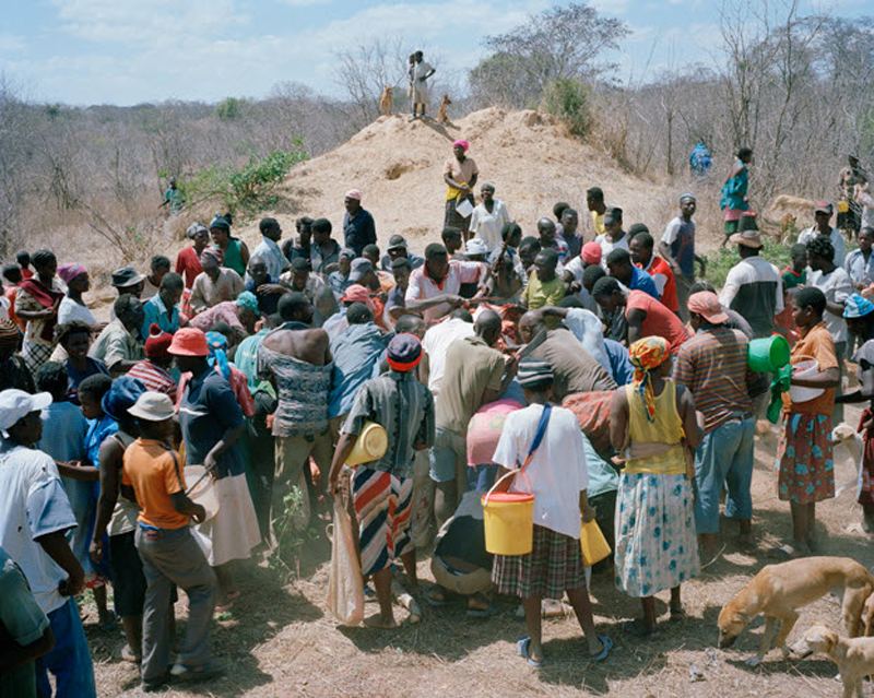 Голодные танзанийцы съели мертвого слона