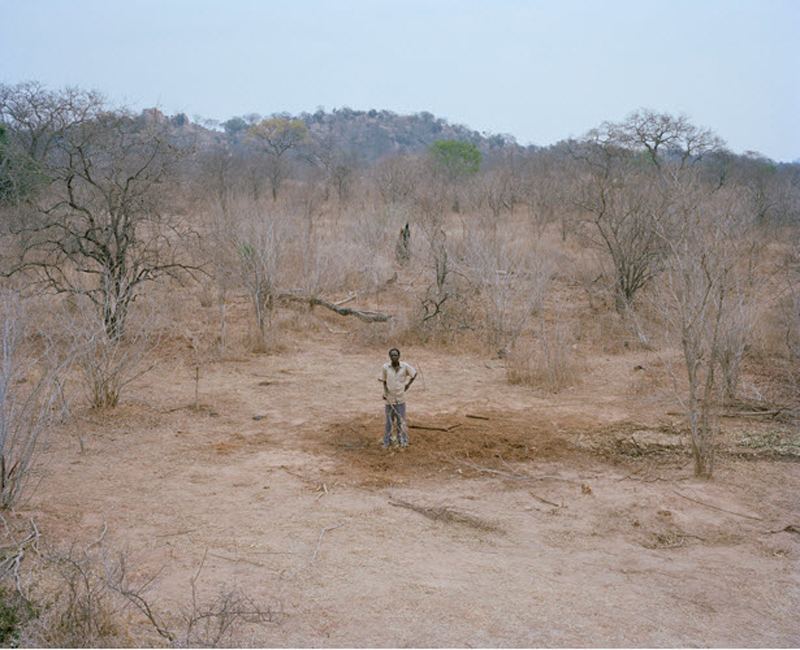 Голодные танзанийцы съели мертвого слона