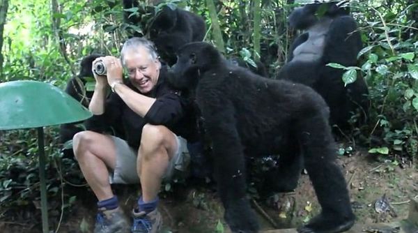 Американский турист столкнулся с семейством горных горилл