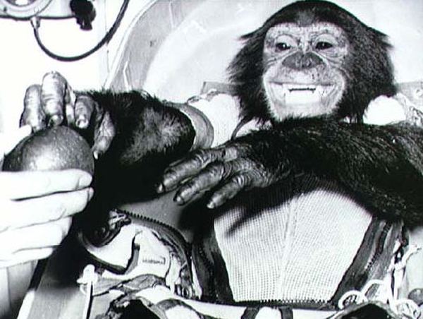 Шимпанзе-астронавт Хэм