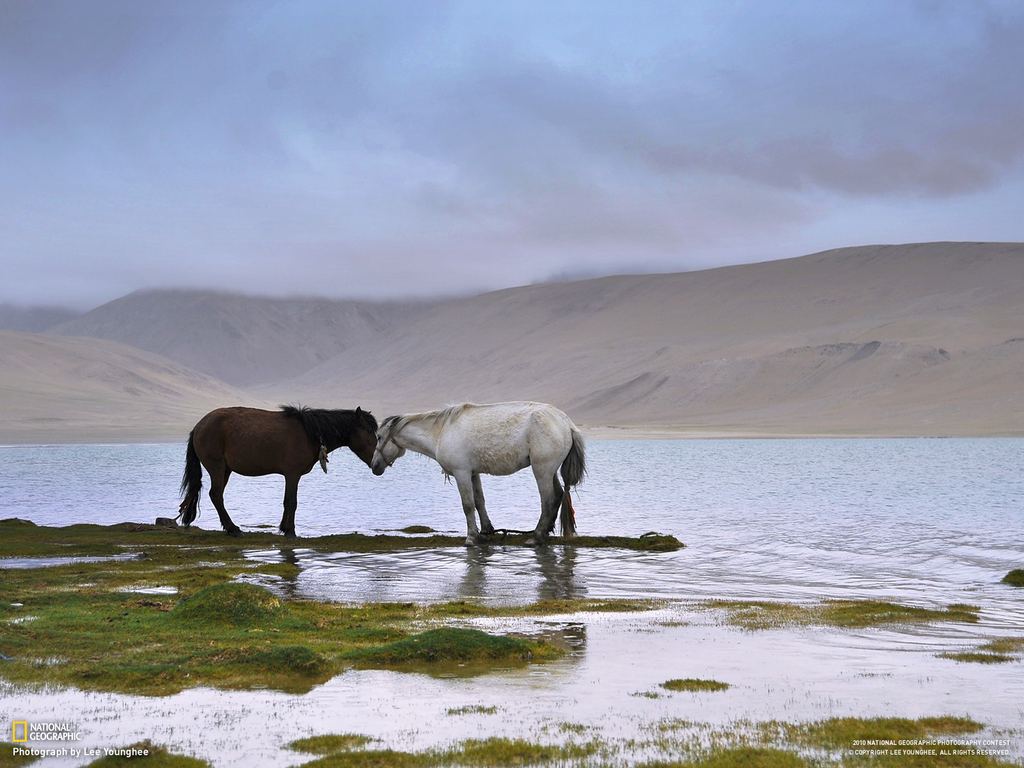 Лучшие снимки природы от National Geographic