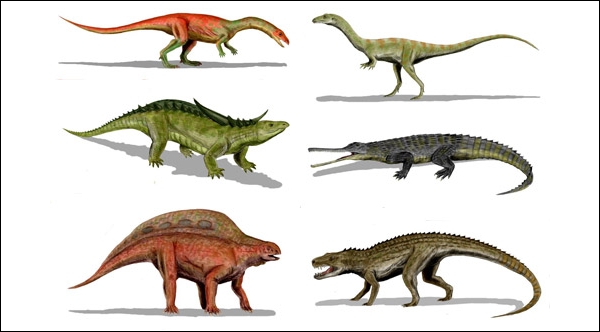 Многообразие круротарзов — предков современных крокодилов. (Иллюстрация Arthur Weasley.)