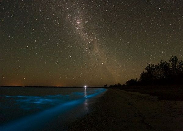 Микроорганизмы ''подсветили'' озеро в Австралии