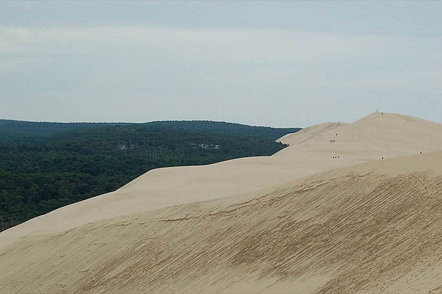 Дюна в Пиле (фр. la Dune du Pilat) 