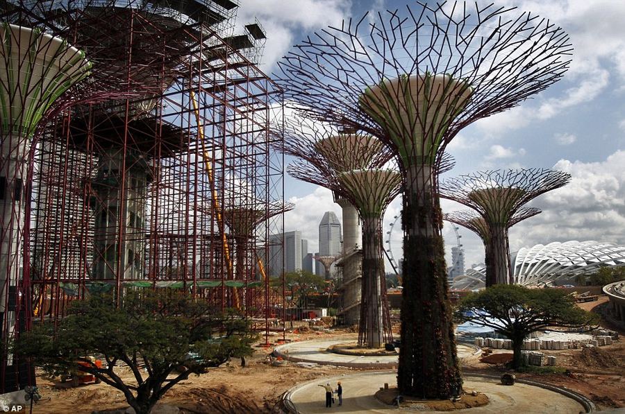 «супер-деревья» служат замаскированными энергетическими станциями для ботанического сада. 