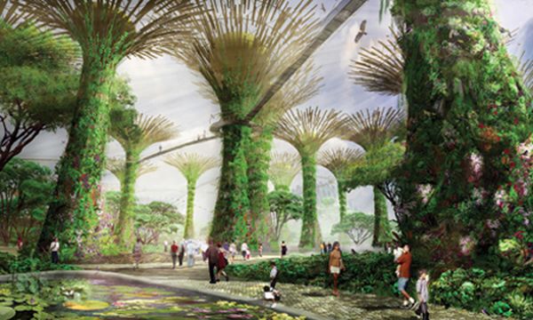 «супер-деревья» служат замаскированными энергетическими станциями для ботанического сада. 