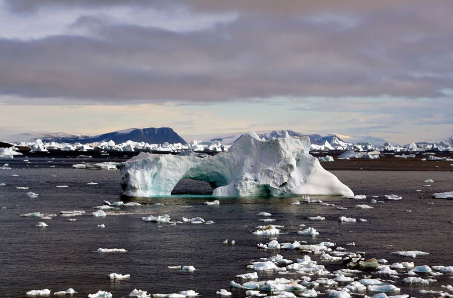 Ледяная красота айсбергов