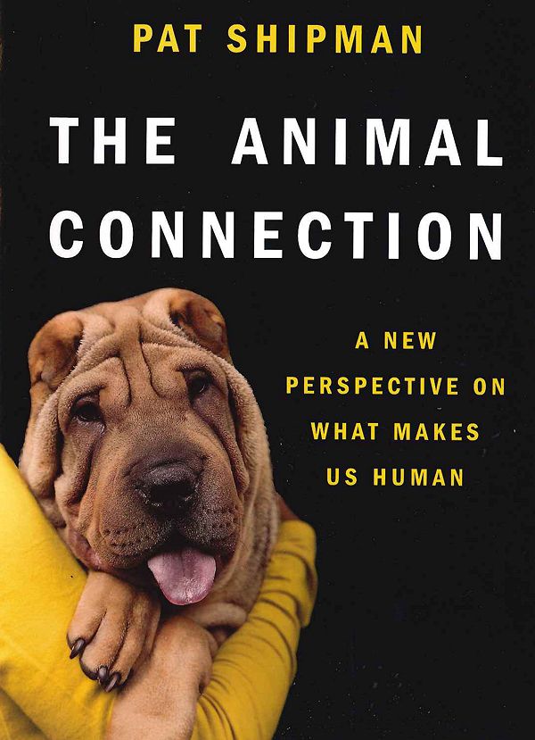 Обложка книги «Связь с животными».
