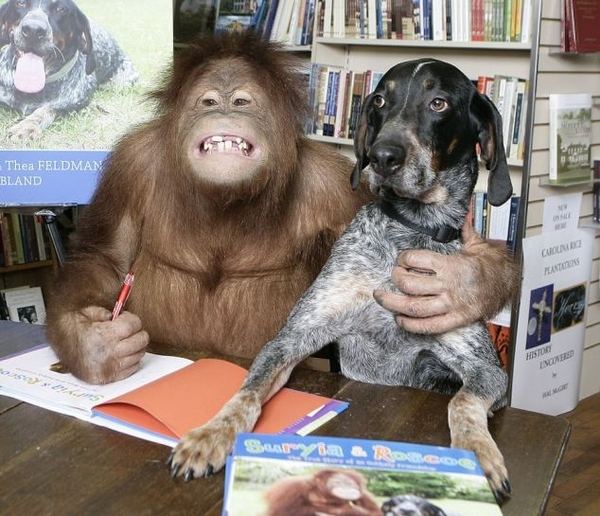 Орангутан Сурия (Suryia) и пёс Роско (Roscoe) - подлинная история настоящей дружбы