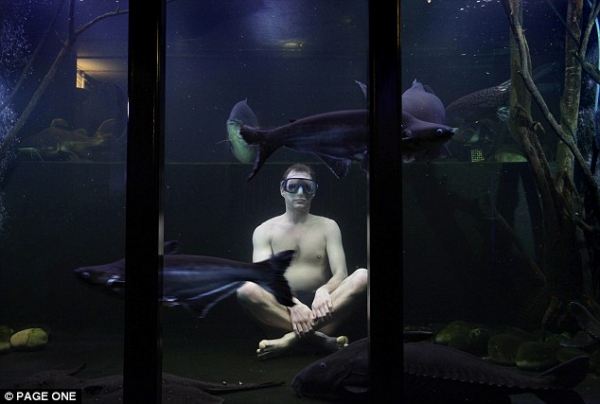 Преврати подвал своего дома в большой аквариум
