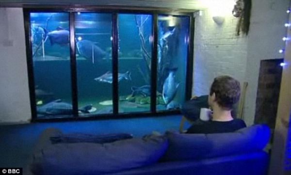 Преврати подвал своего дома в большой аквариум