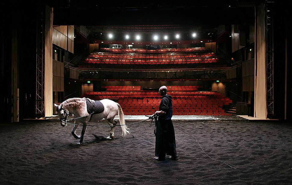 Театр коней ''Зингаро''