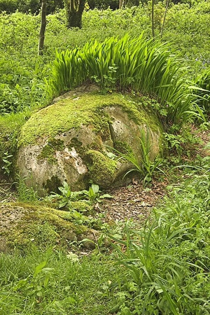 ''Голова гиганта'' в саду Хэлигана
