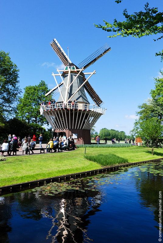 Кёкенхоф (Keukenhof) - парк цветов в Голландии