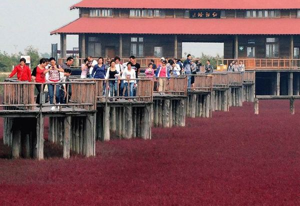 Красный Берег в Паньцзинь, Китай